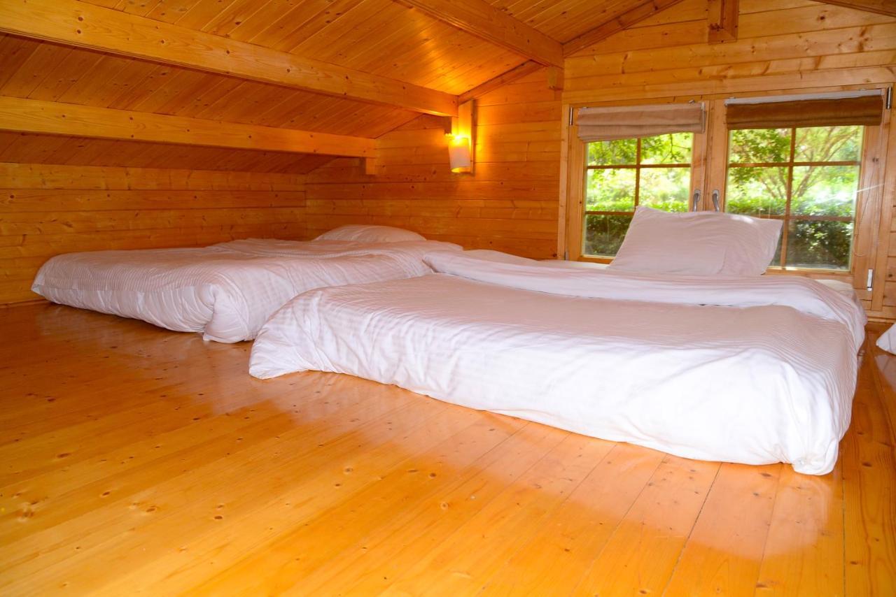 Severine Cottages And Lounge Ltd Nairobi Buitenkant foto